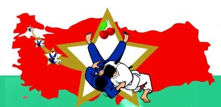 judo