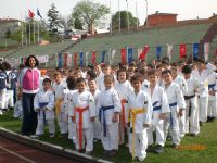 judo
