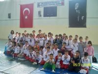 judo