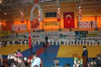 judo