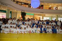 judo