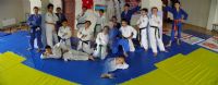 judo