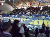 judo