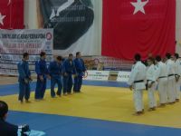 judo