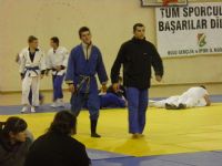 judo