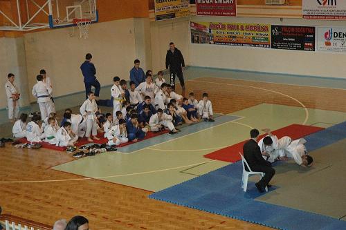 judo